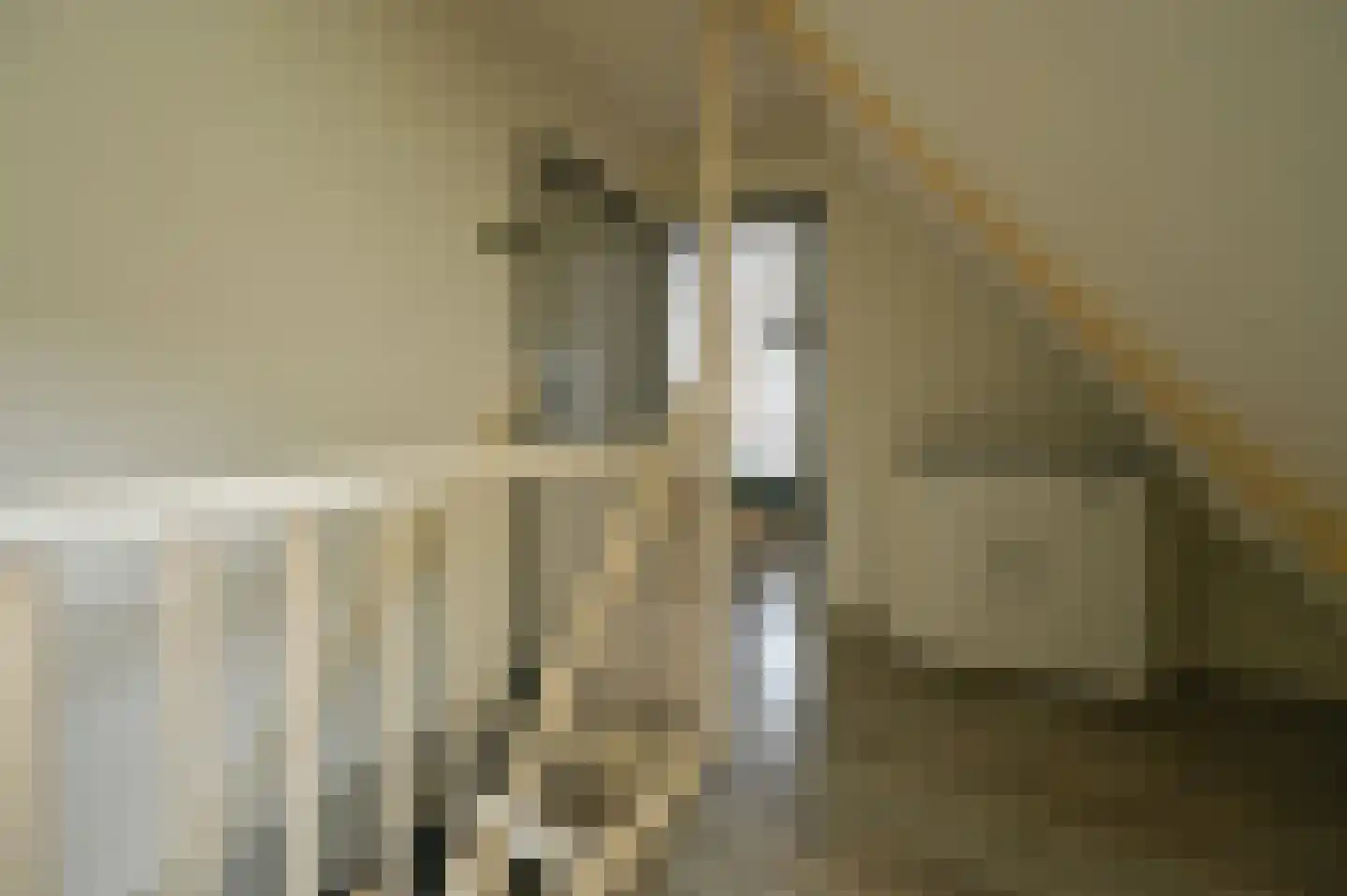 2e Rozenstraat 20 Lutjebroek thumbnail 24