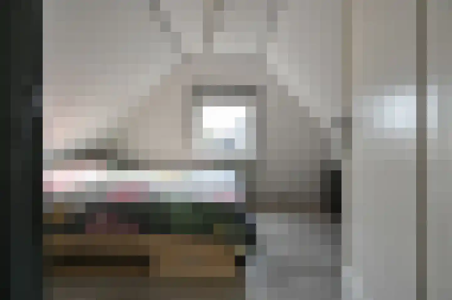 2e Rozenstraat 20 Lutjebroek thumbnail 26