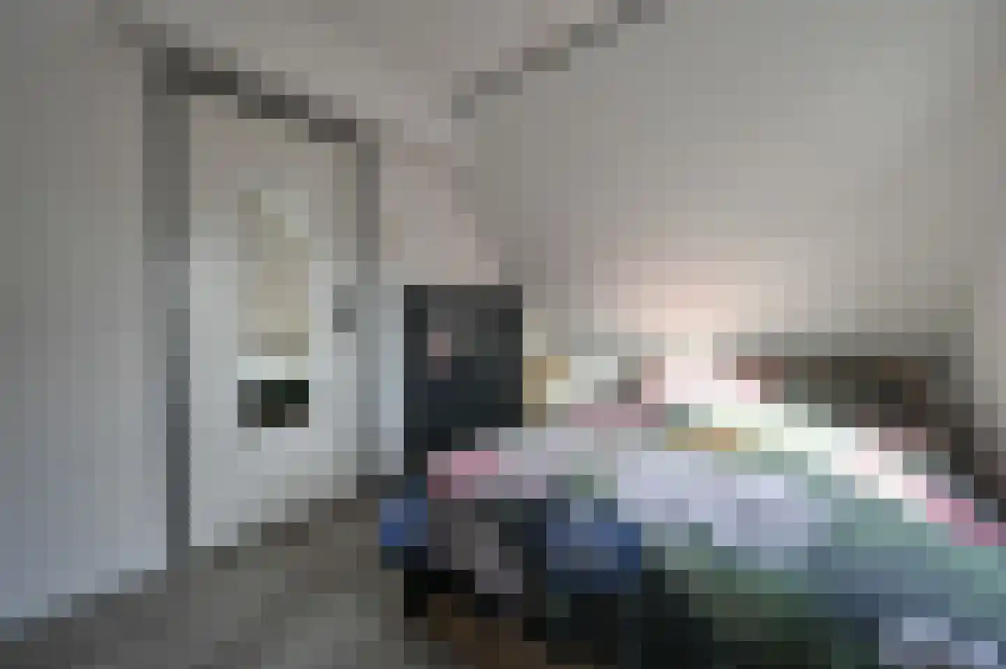 2e Rozenstraat 20 Lutjebroek thumbnail 27
