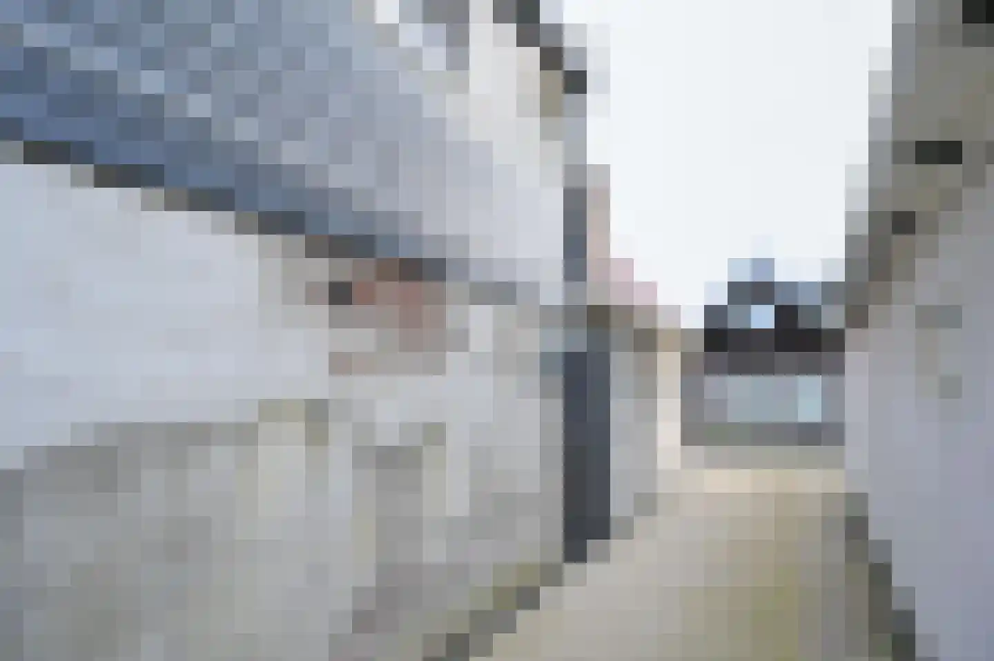 2e Rozenstraat 20 Lutjebroek thumbnail 32