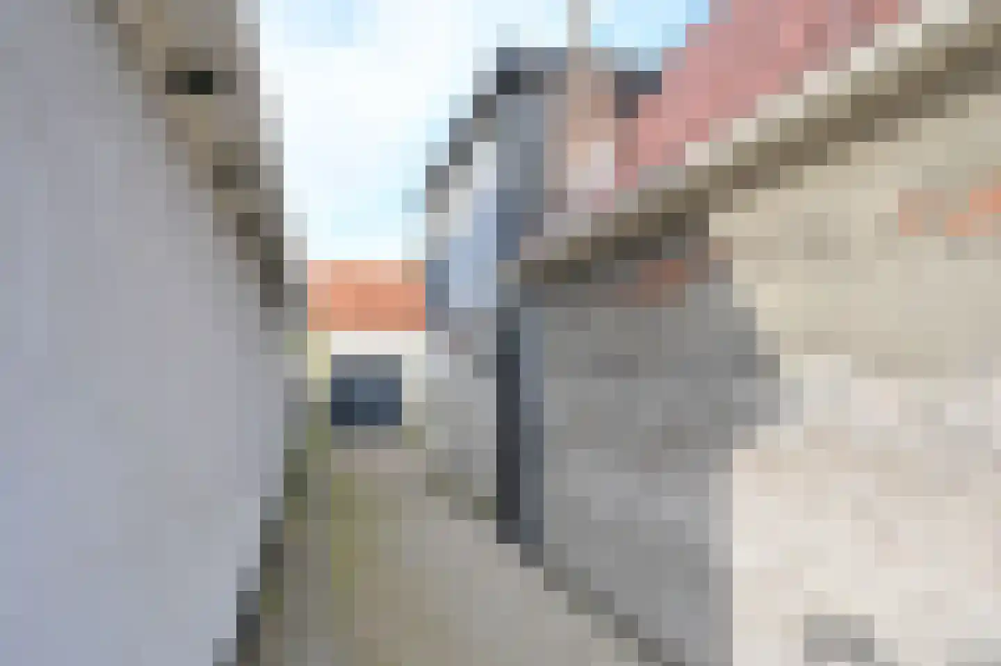 2e Rozenstraat 20 Lutjebroek thumbnail 5
