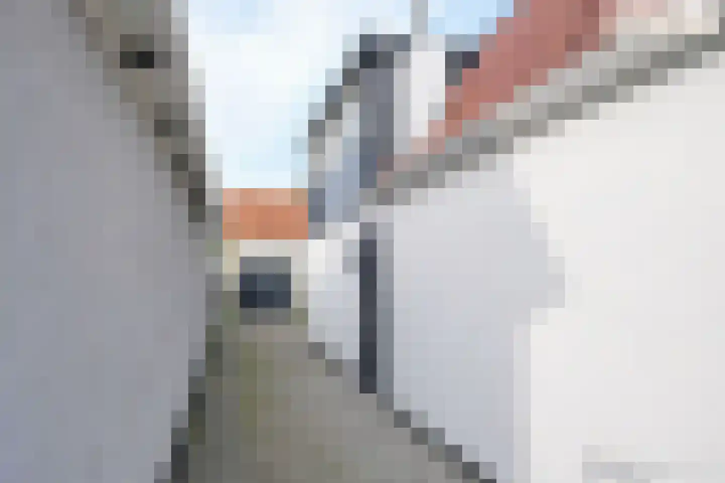 2e Rozenstraat 20 Lutjebroek thumbnail 6