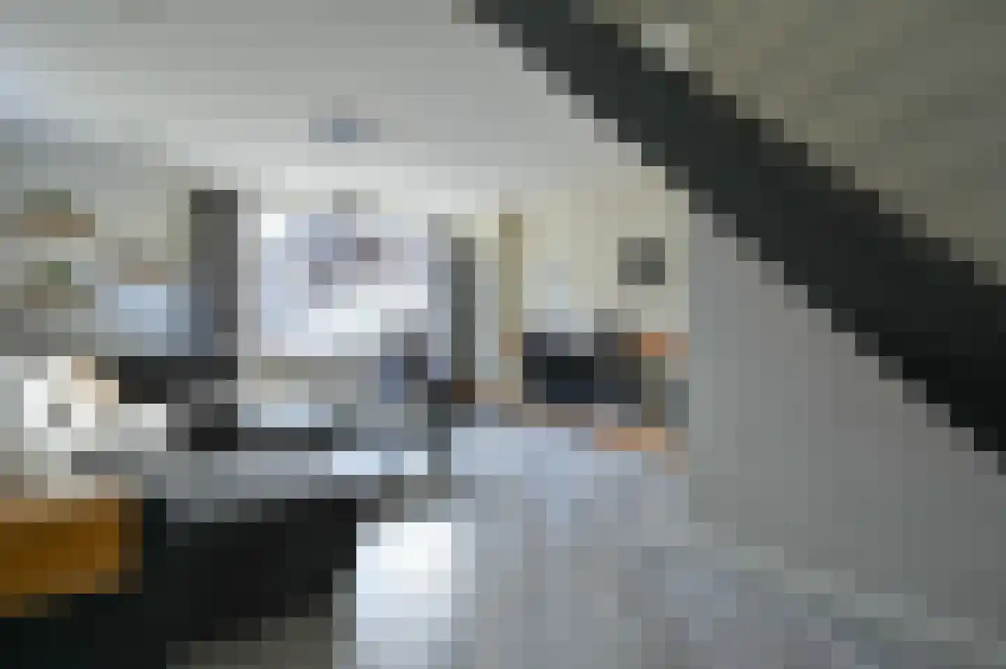 2e Rozenstraat 20 Lutjebroek thumbnail 7