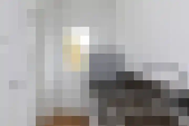 2e Schansstraat 66 B Rotterdam thumbnail 8