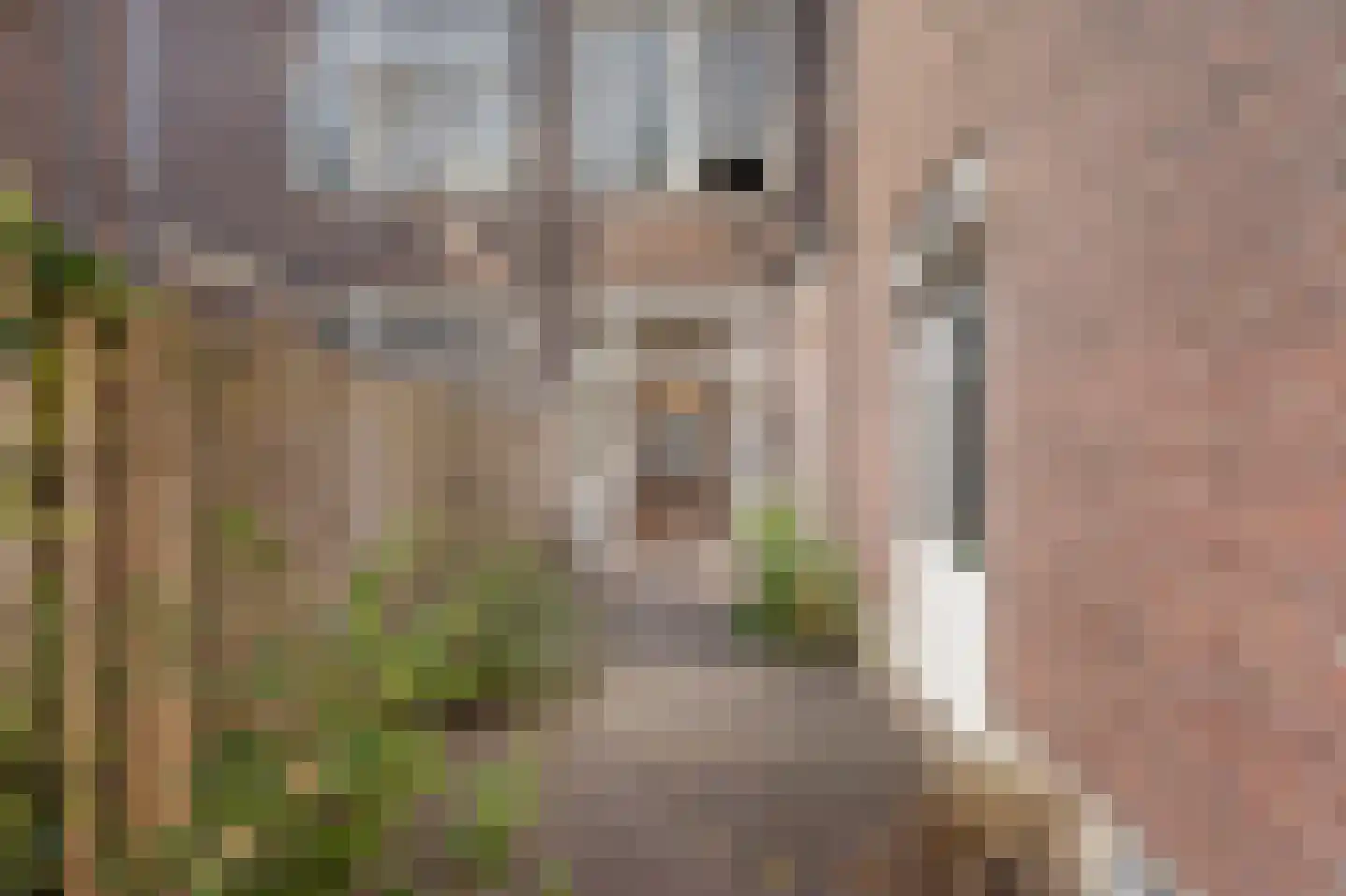 2e Schuytstraat 110 Den Haag thumbnail 22