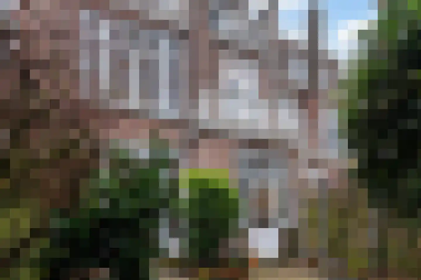 2e Schuytstraat 173 Den Haag thumbnail 13