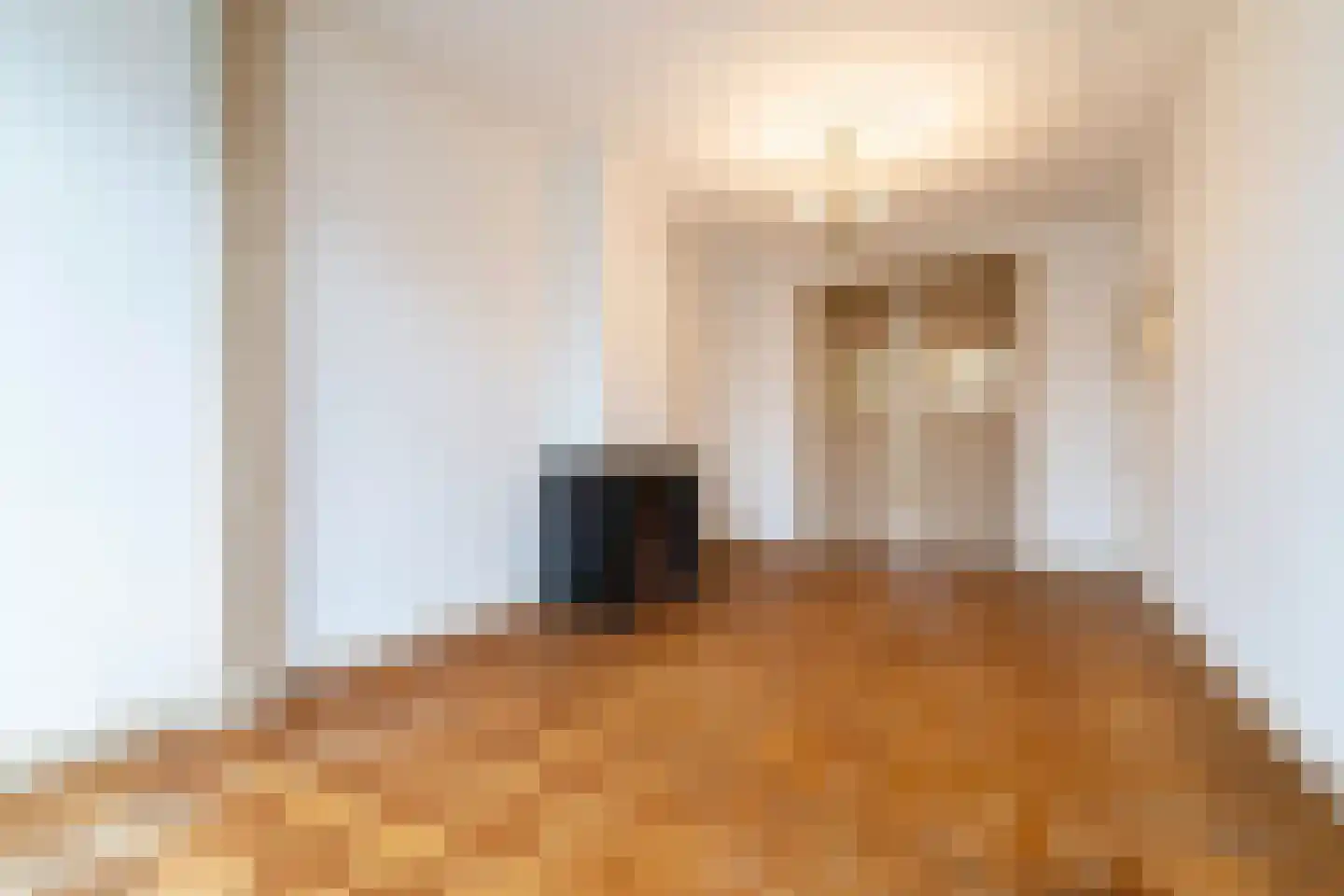 2e Schuytstraat 173 Den Haag thumbnail 30