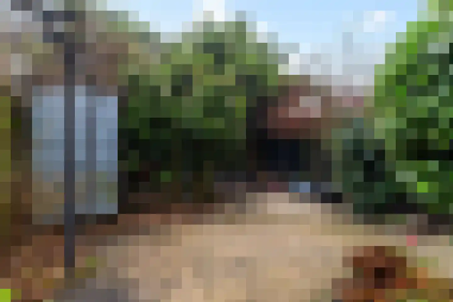 2e Schuytstraat 173 Den Haag thumbnail 4