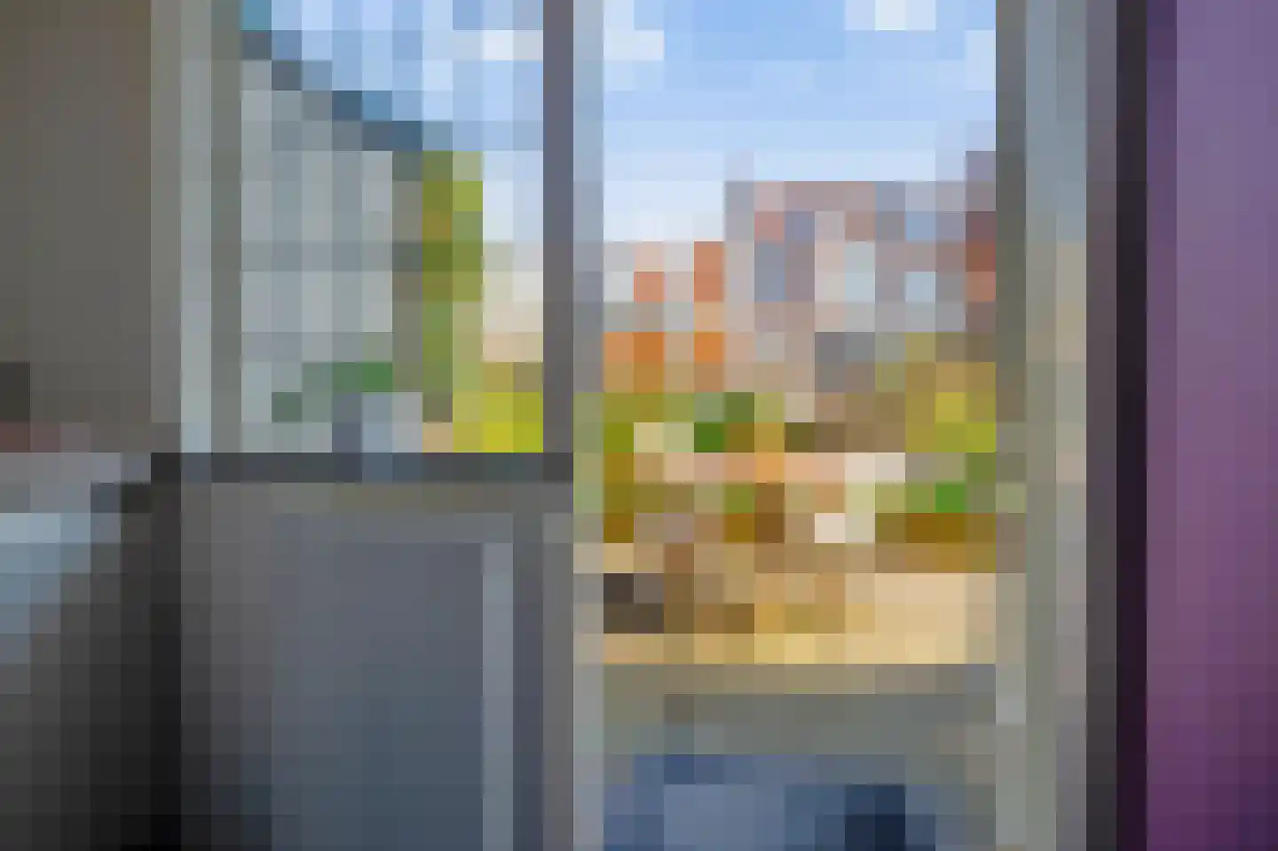 2e Schuytstraat 181 Den Haag thumbnail 18