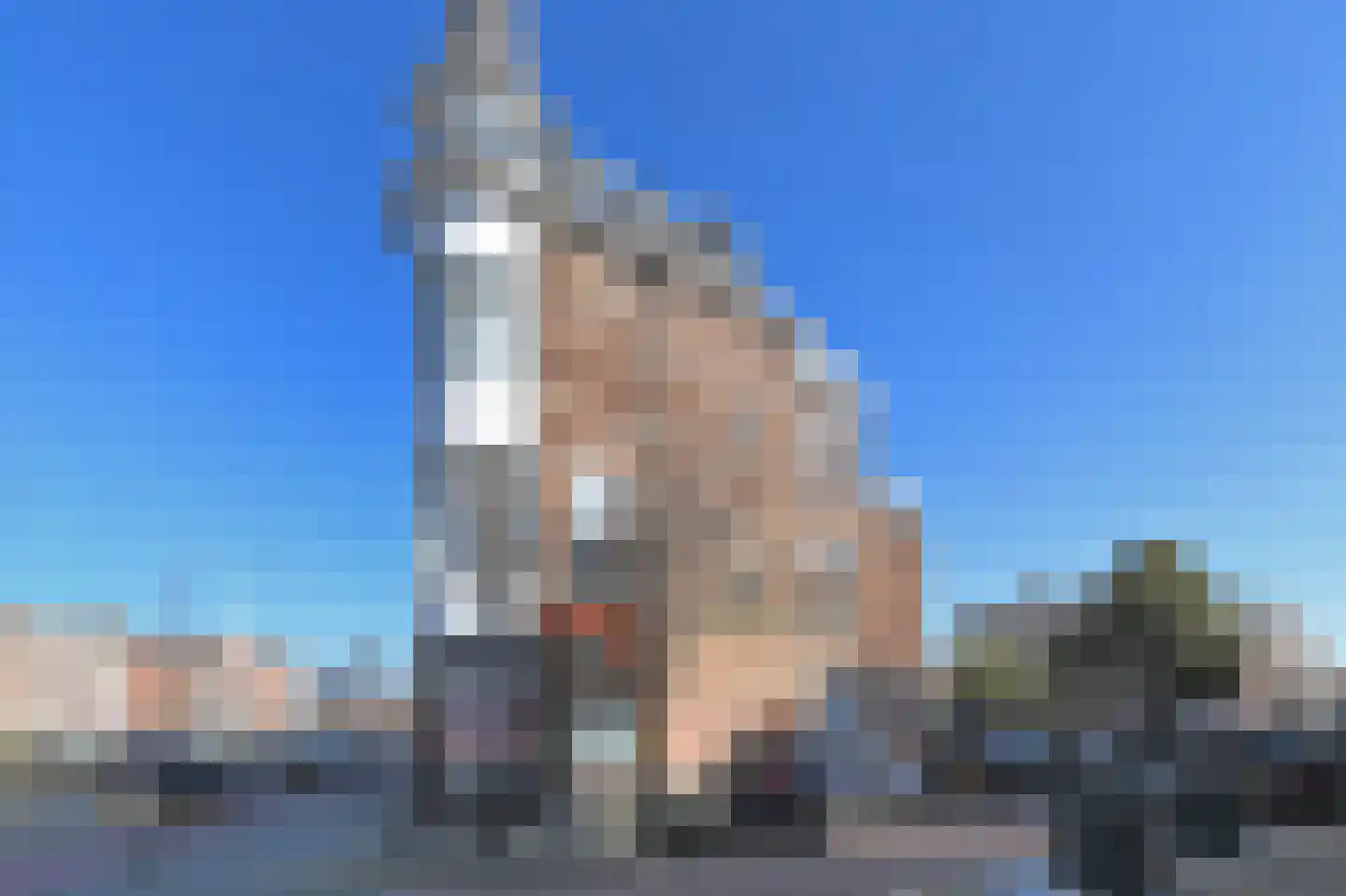 2e Schuytstraat 195 D Den Haag thumbnail 37