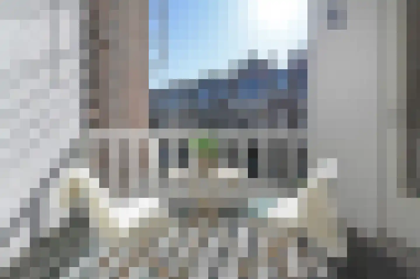 2e Schuytstraat 195 D Den Haag thumbnail 4
