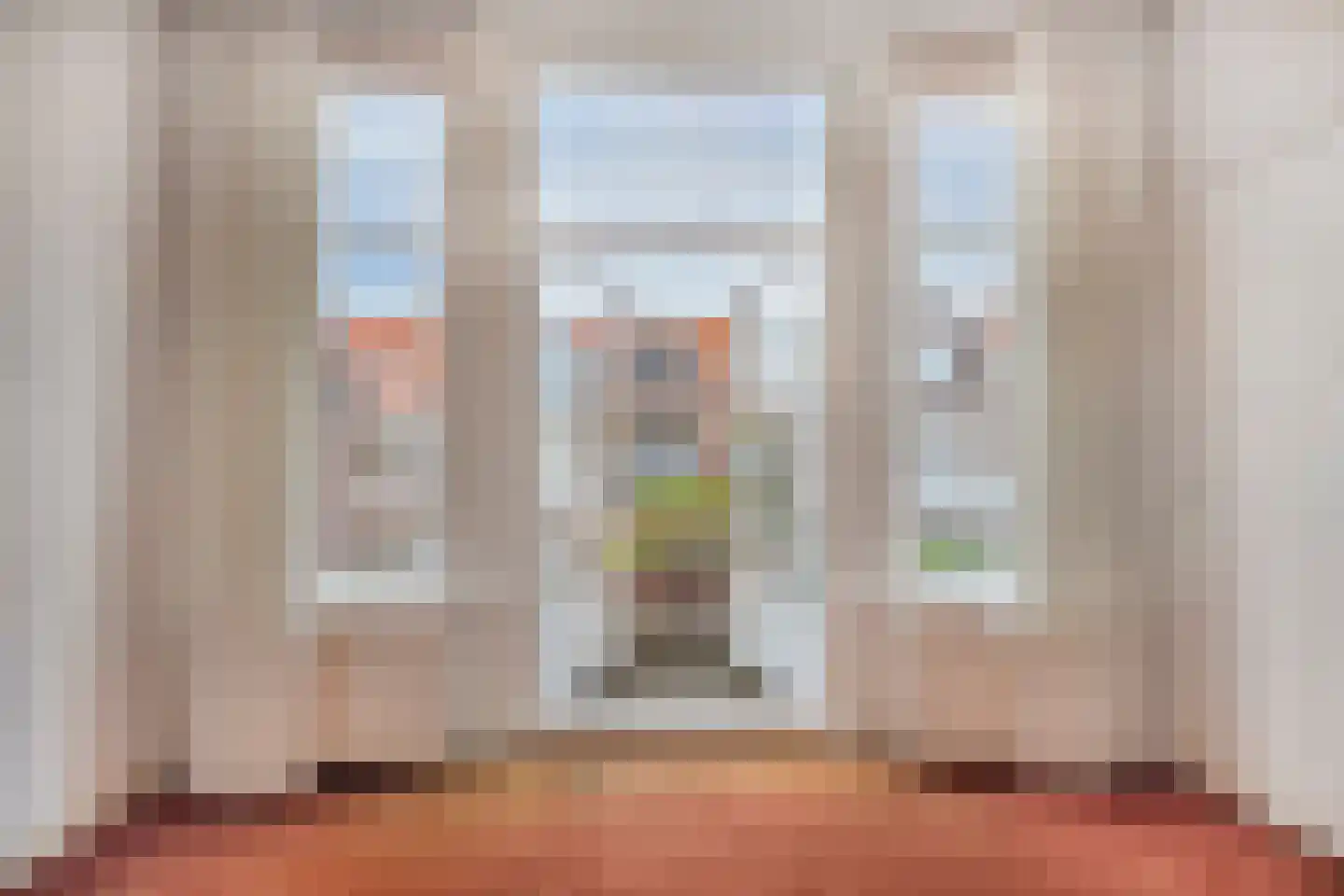 2e Schuytstraat 210 Den Haag thumbnail 17