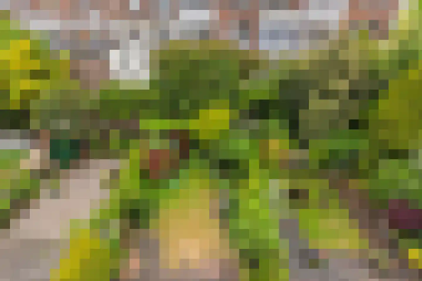 2e Schuytstraat 210 Den Haag thumbnail 30