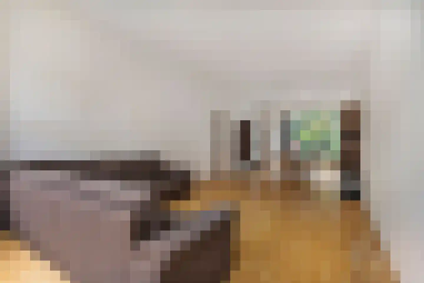 2e Schuytstraat 210 Den Haag thumbnail 5