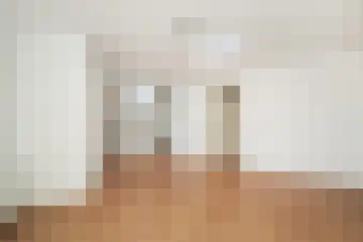 2e Schuytstraat 258 Den Haag thumbnail 4