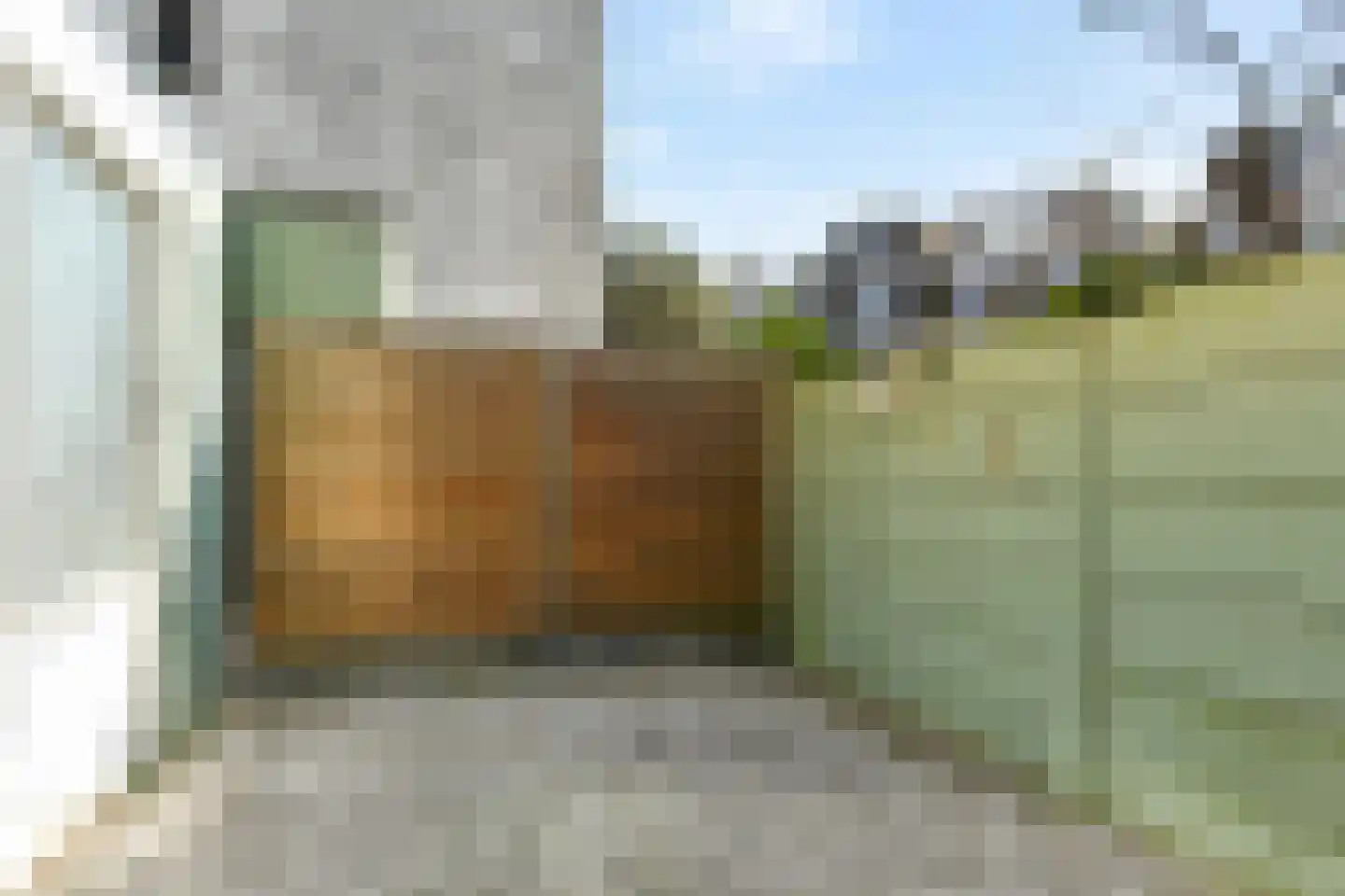 2e Schuytstraat 260 Den Haag thumbnail 16