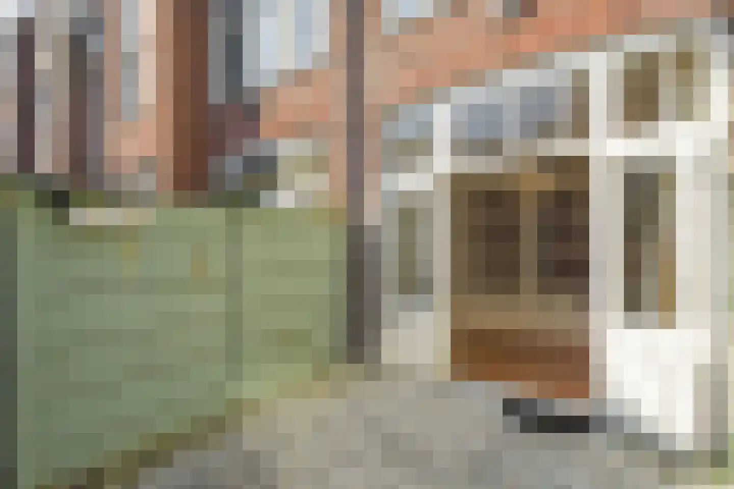 2e Schuytstraat 260 Den Haag thumbnail 18