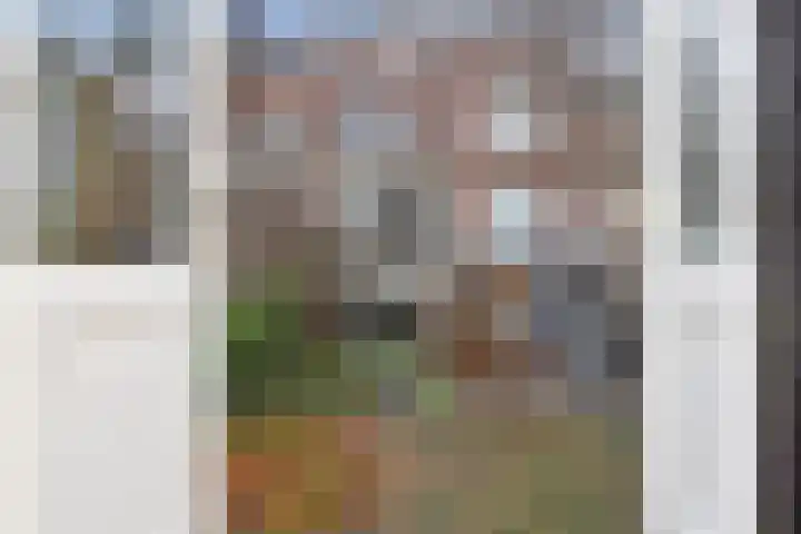 2e Schuytstraat 45 Den Haag thumbnail 31