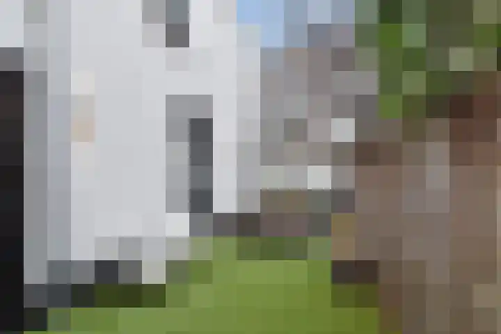 2e Schuytstraat 45 Den Haag thumbnail 4