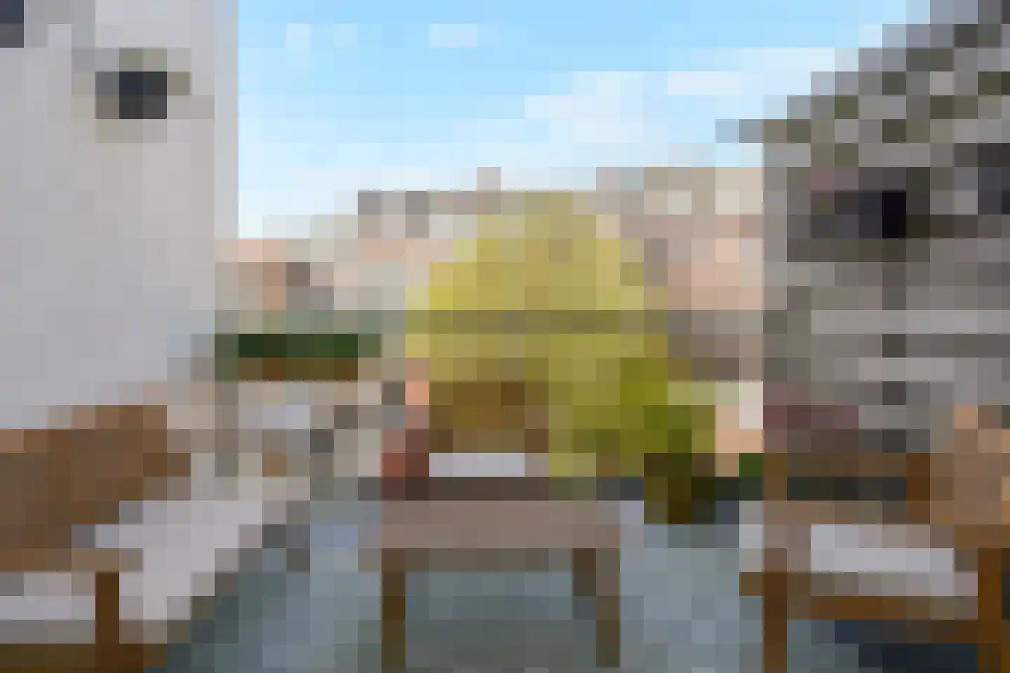 2e Schuytstraat 55 Den Haag thumbnail 36
