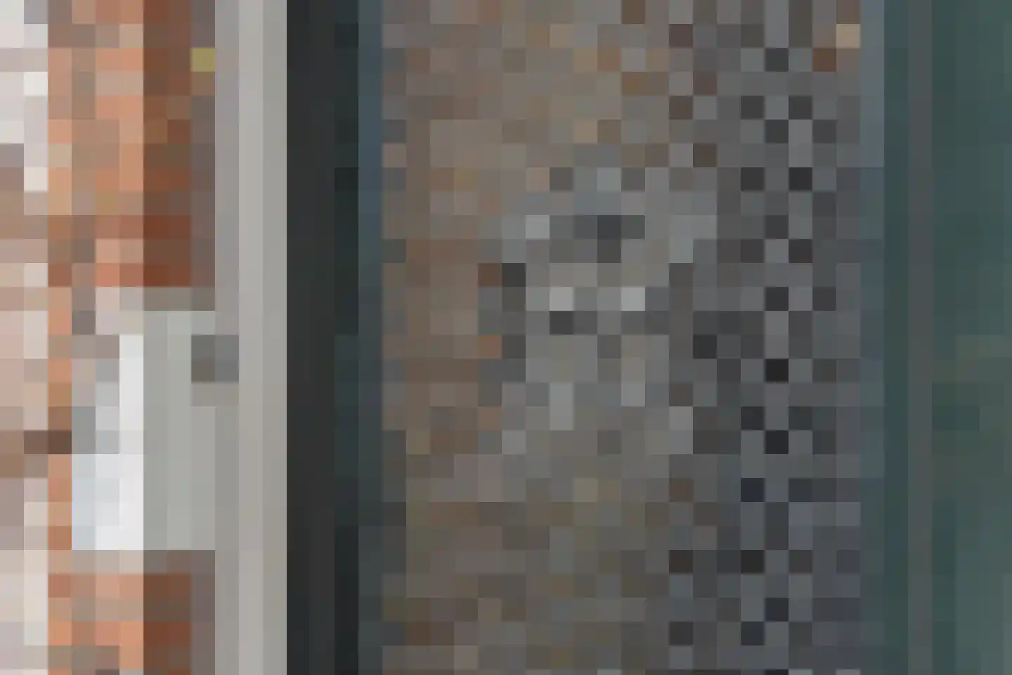 2e Schuytstraat 55 Den Haag thumbnail 6