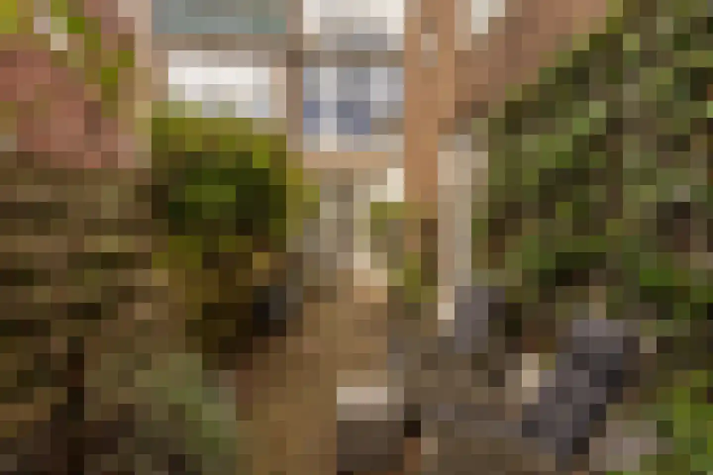 2e Schuytstraat 70 Den Haag thumbnail 22