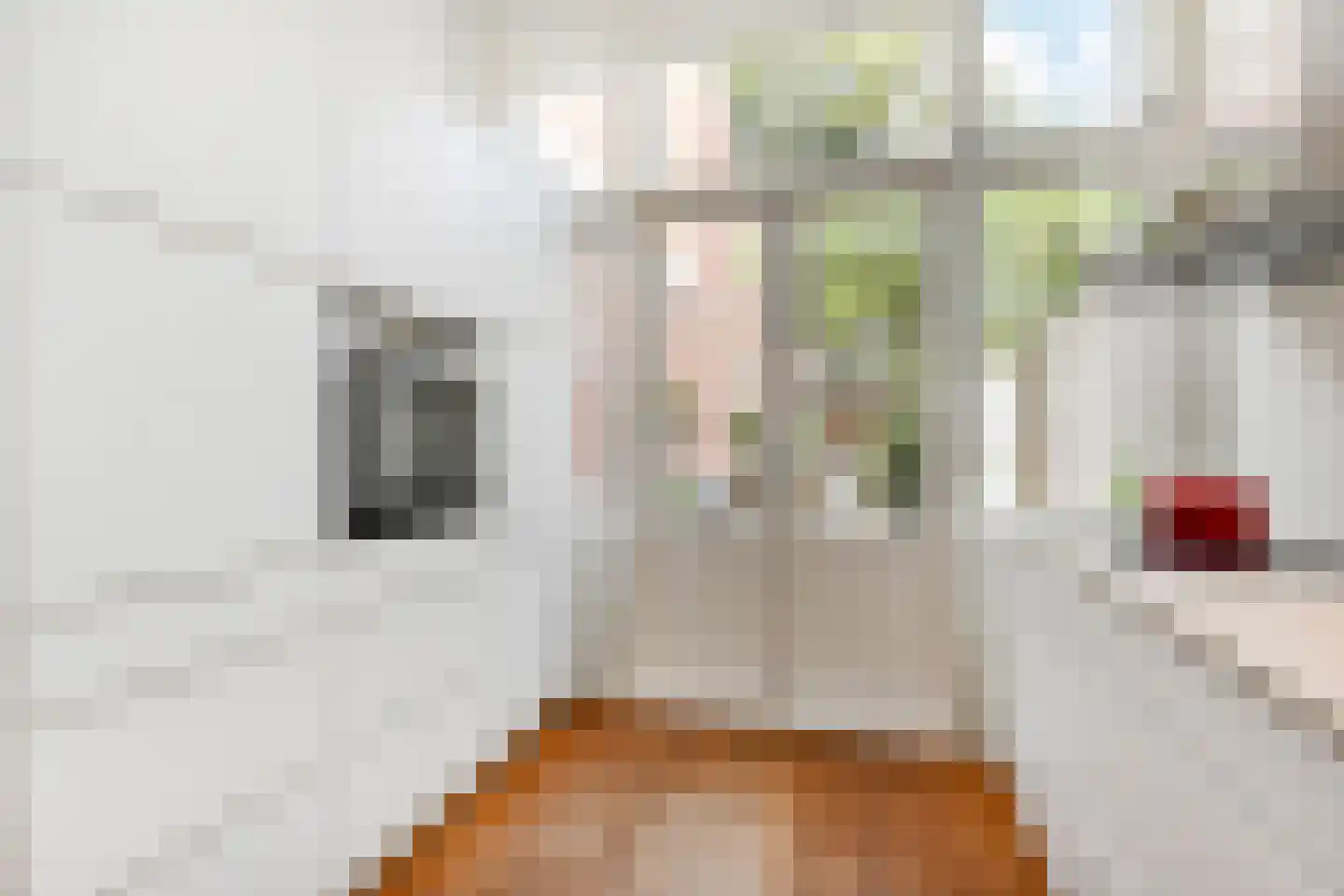 2e Schuytstraat 93 Den Haag thumbnail 15