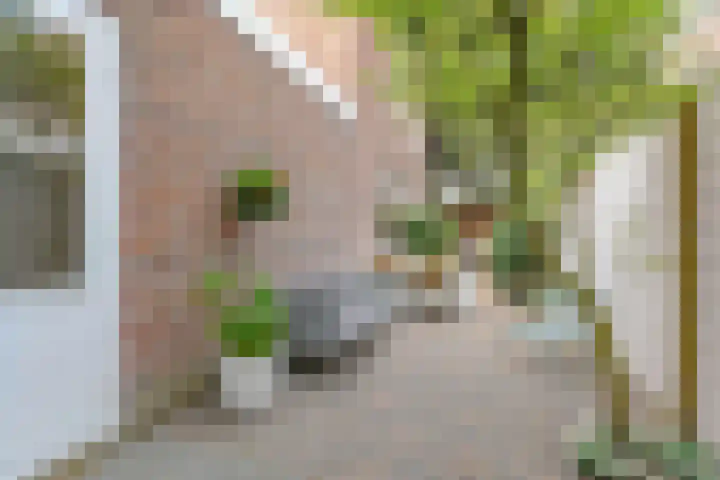 2e Schuytstraat 93 Den Haag thumbnail 16