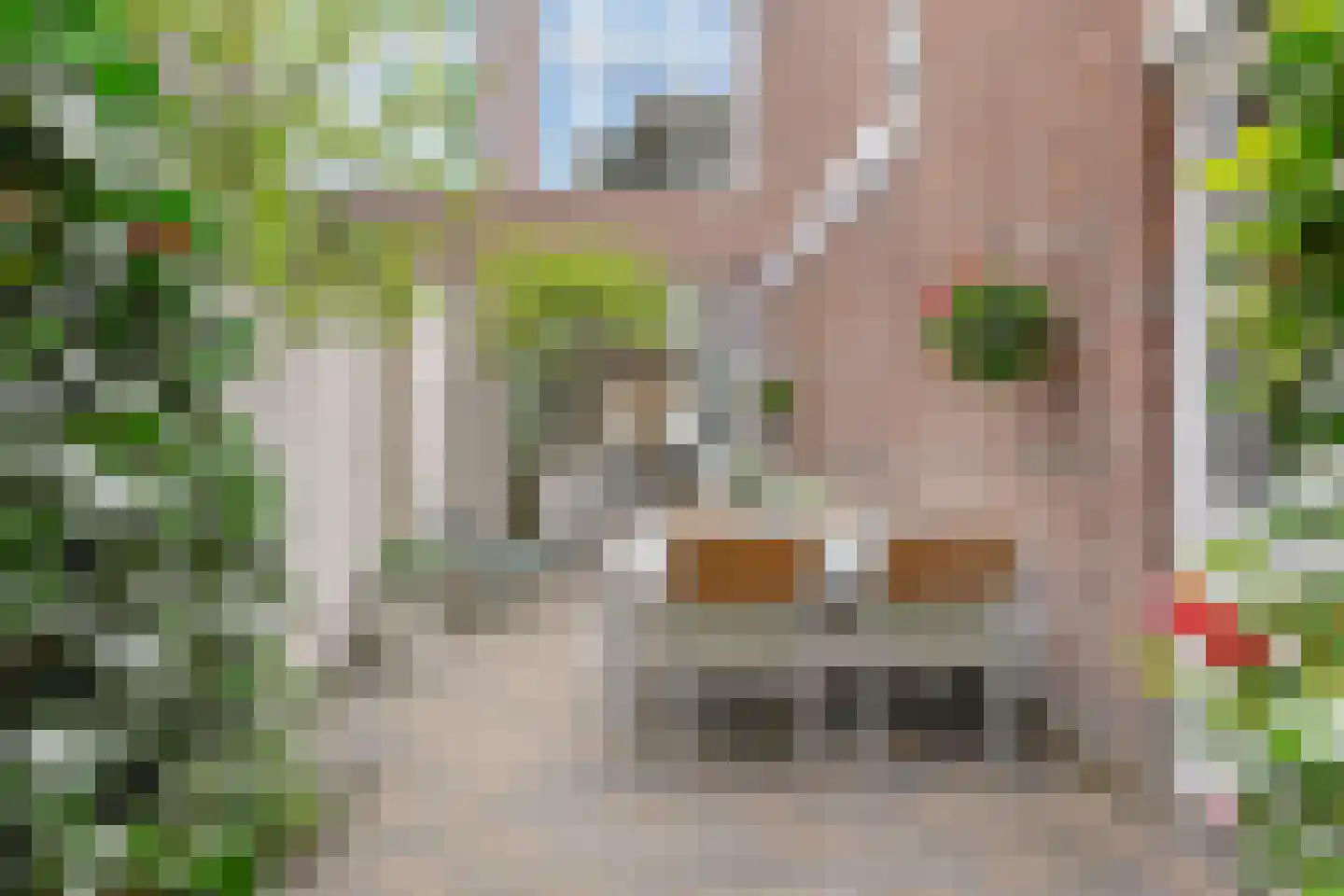 2e Schuytstraat 93 Den Haag thumbnail 17