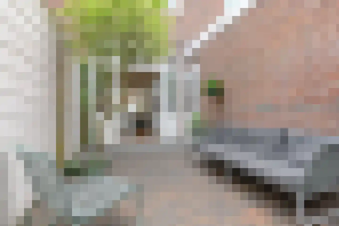 2e Schuytstraat 93 Den Haag thumbnail 18