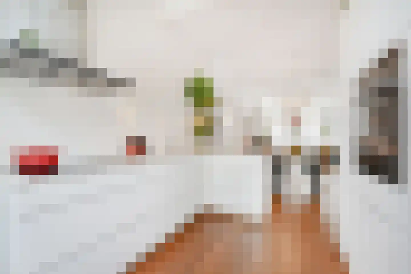2e Schuytstraat 93 Den Haag thumbnail 19