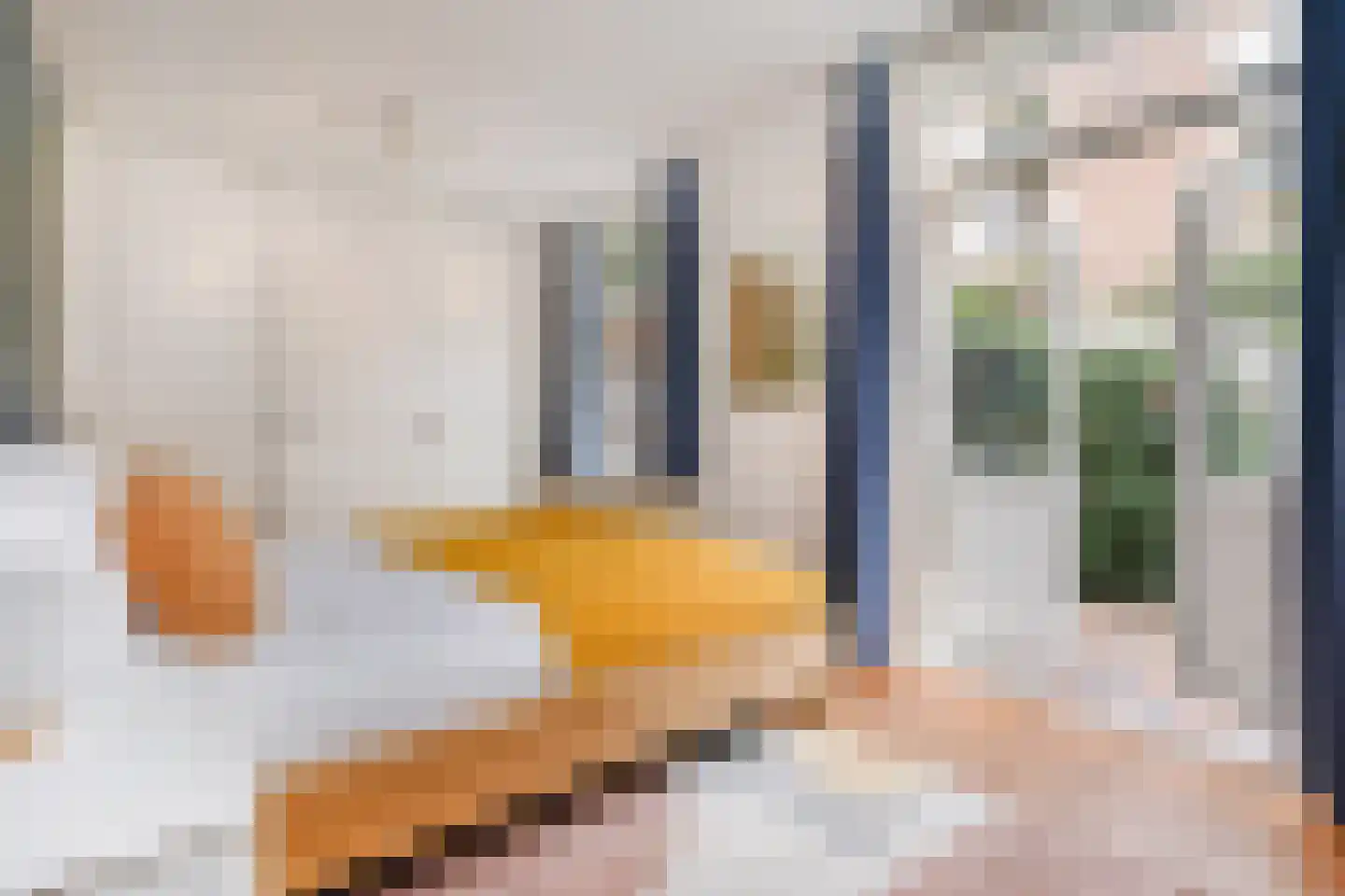 2e Schuytstraat 93 Den Haag thumbnail 23