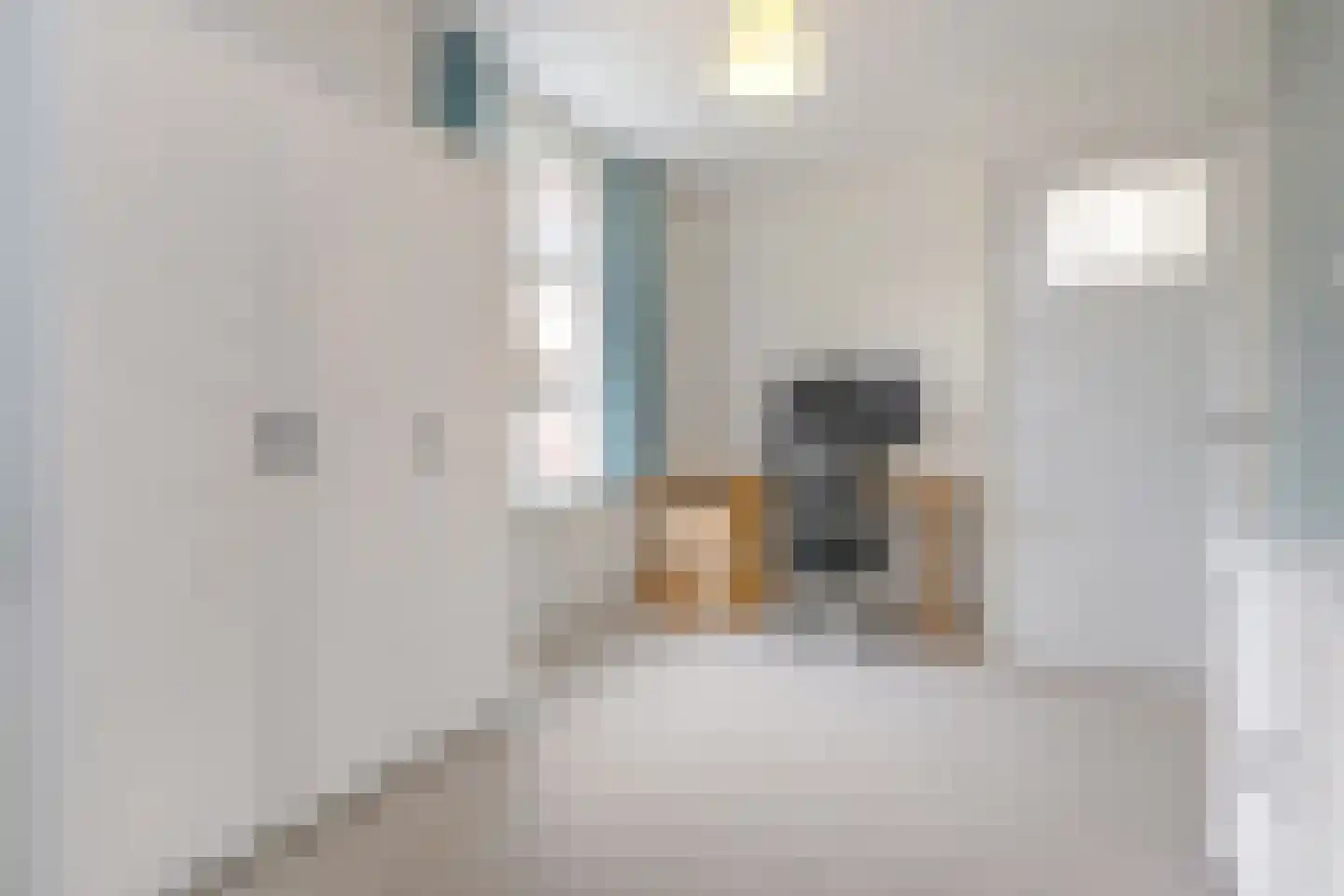 2e Schuytstraat 93 Den Haag thumbnail 30