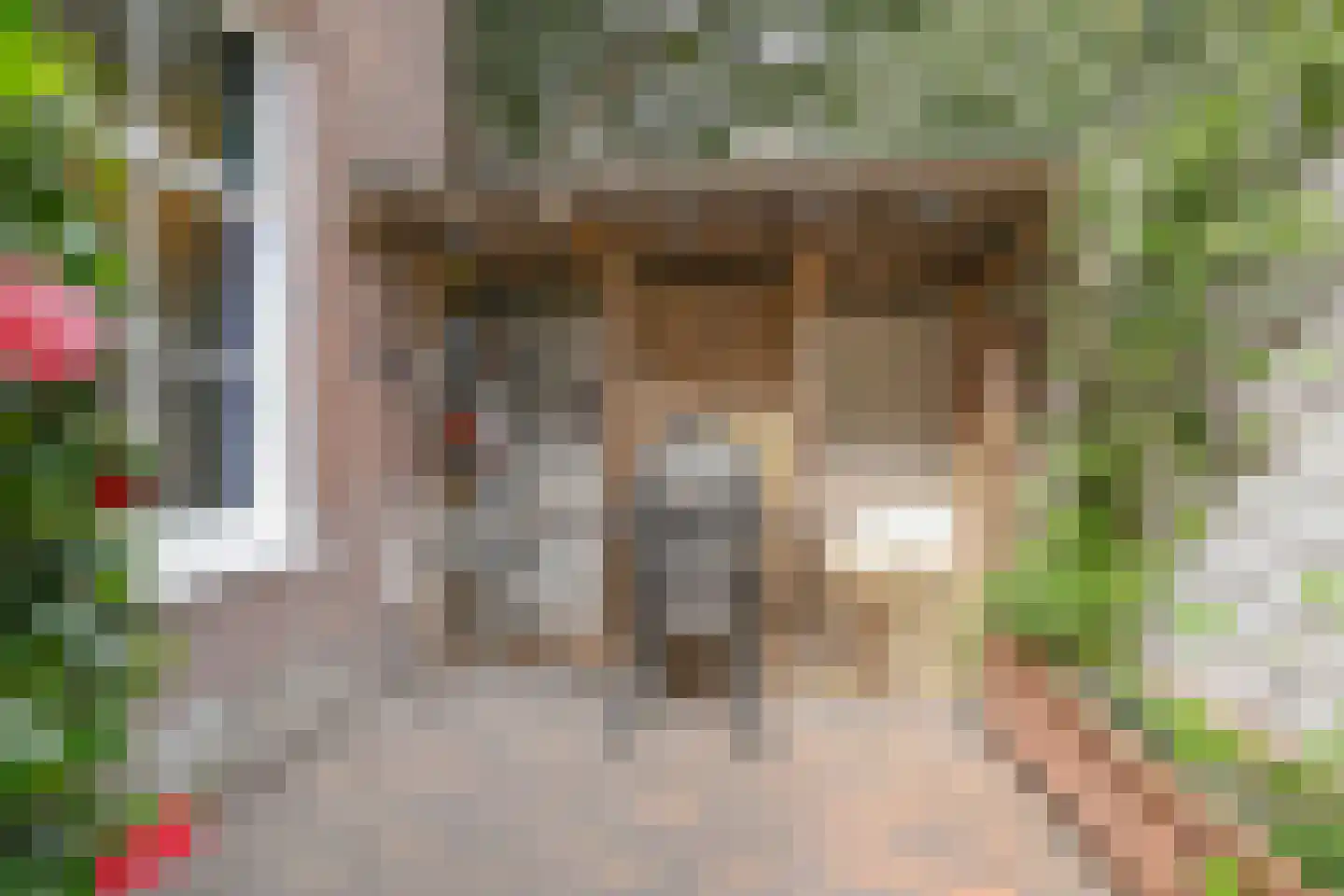 2e Schuytstraat 93 Den Haag thumbnail 4