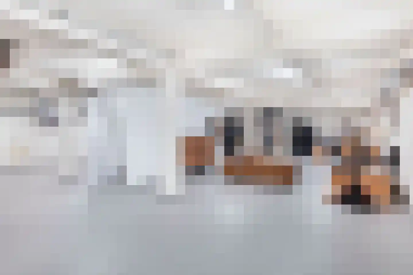 2e Sint-Janshof 14 Rotterdam thumbnail 5
