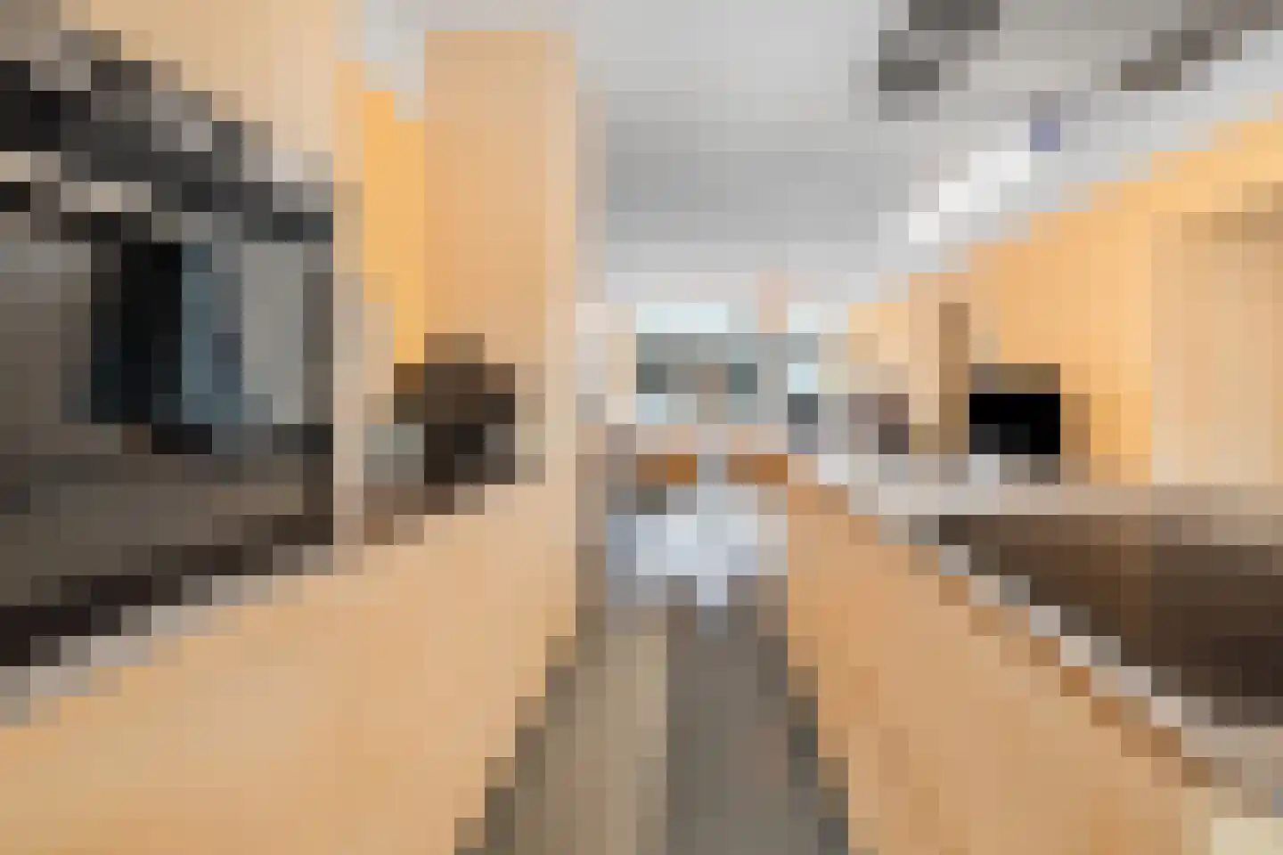 2e Sint-Janshof 32 D Rotterdam thumbnail 13