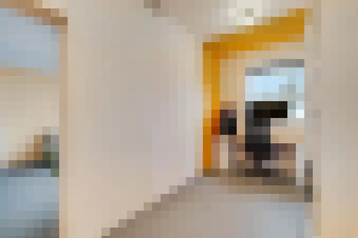 2e Sint-Janshof 32 D Rotterdam thumbnail 29