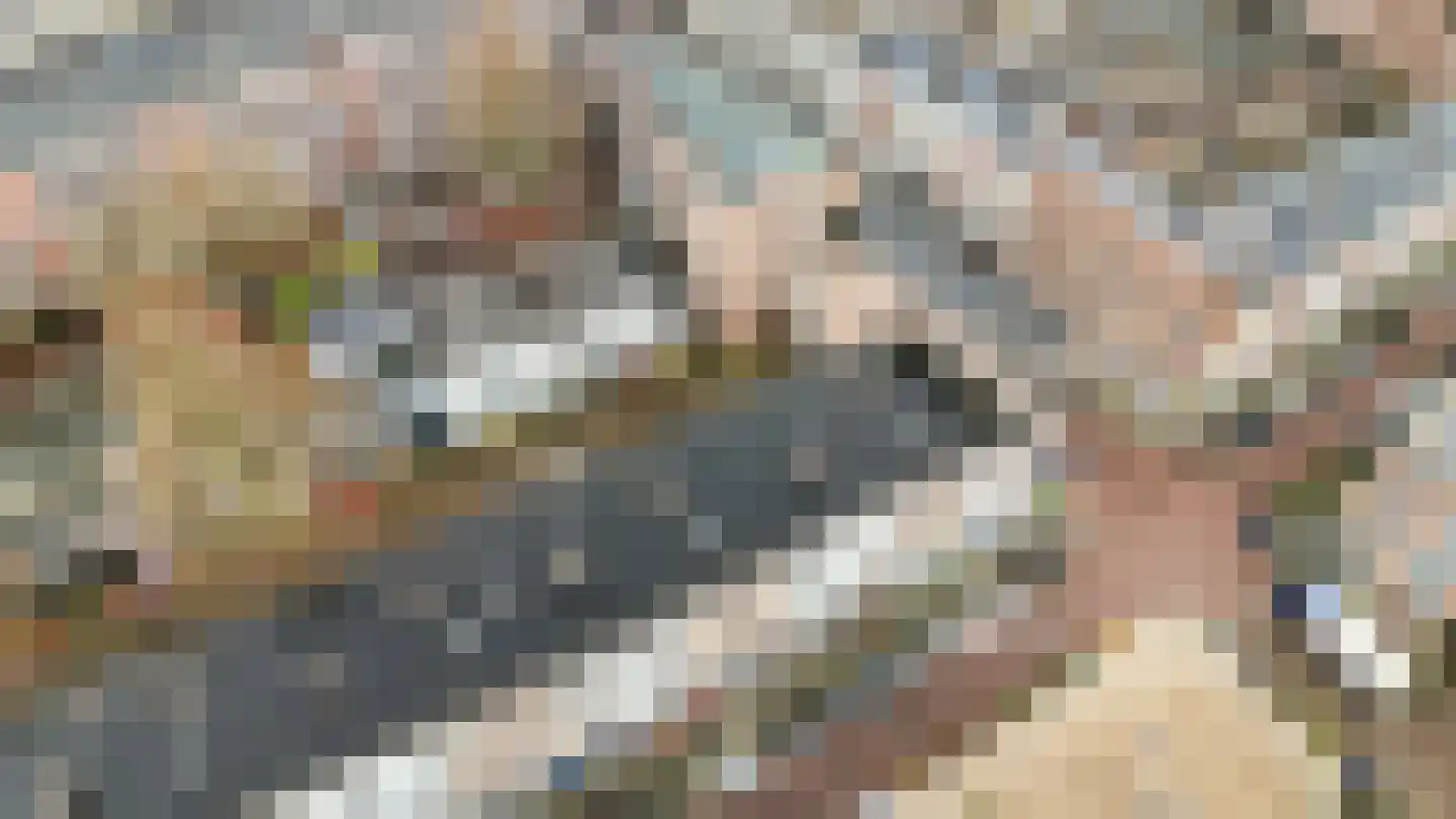 2e Sint-Janshof 32 D Rotterdam thumbnail 35