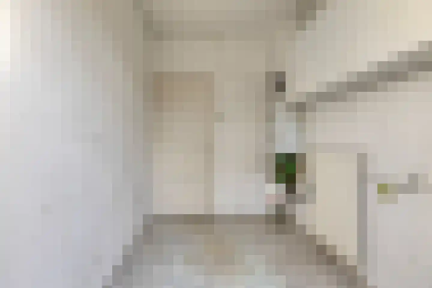 2e Sint Jozefstraat 3 Asten thumbnail 13