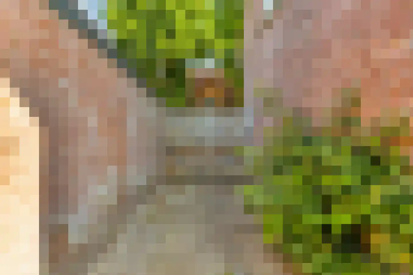 2e Sint Jozefstraat 3 Asten thumbnail 6