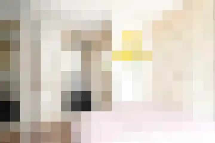 2e Spechtstraat 7 Utrecht thumbnail 25