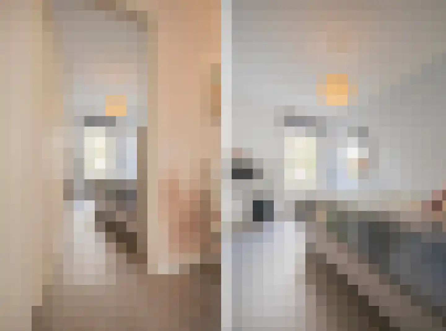 2e Spijkerdwarsstraat 51 Arnhem thumbnail 23