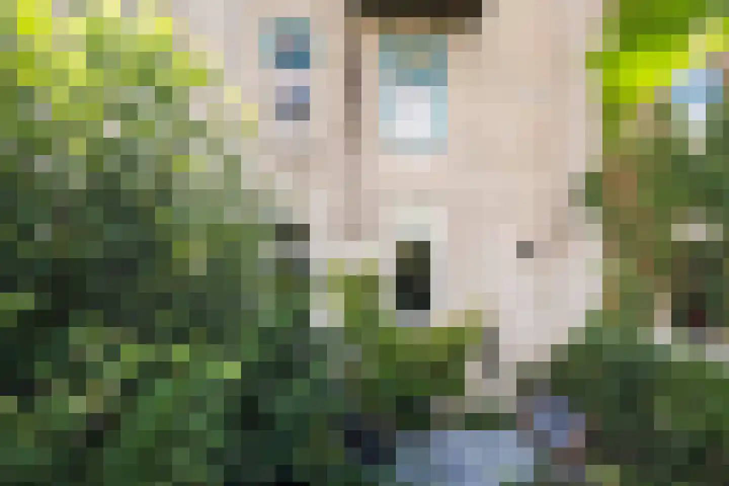 2e Spijkerdwarsstraat 51 Arnhem thumbnail 37