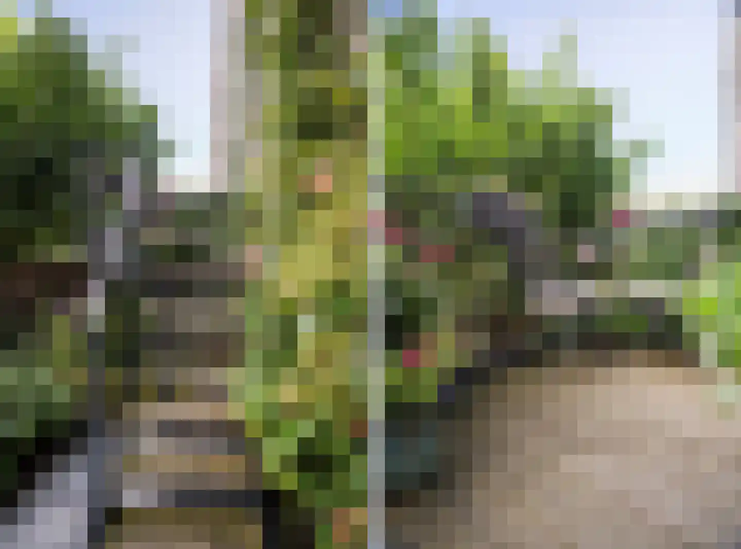 2e Spijkerdwarsstraat 51 Arnhem thumbnail 39