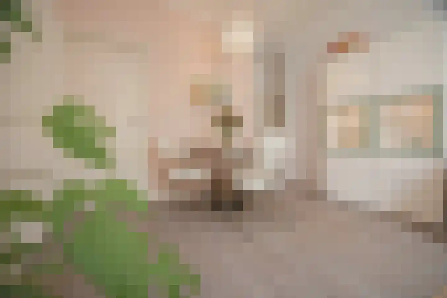 2e Spijkerdwarsstraat 51 Arnhem thumbnail 4