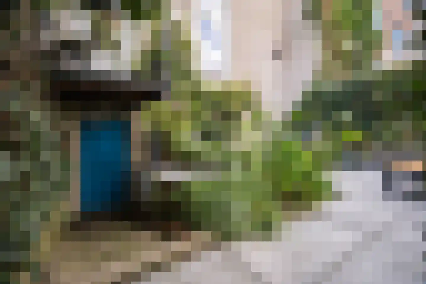 2e Spijkerdwarsstraat 51 Arnhem thumbnail 41