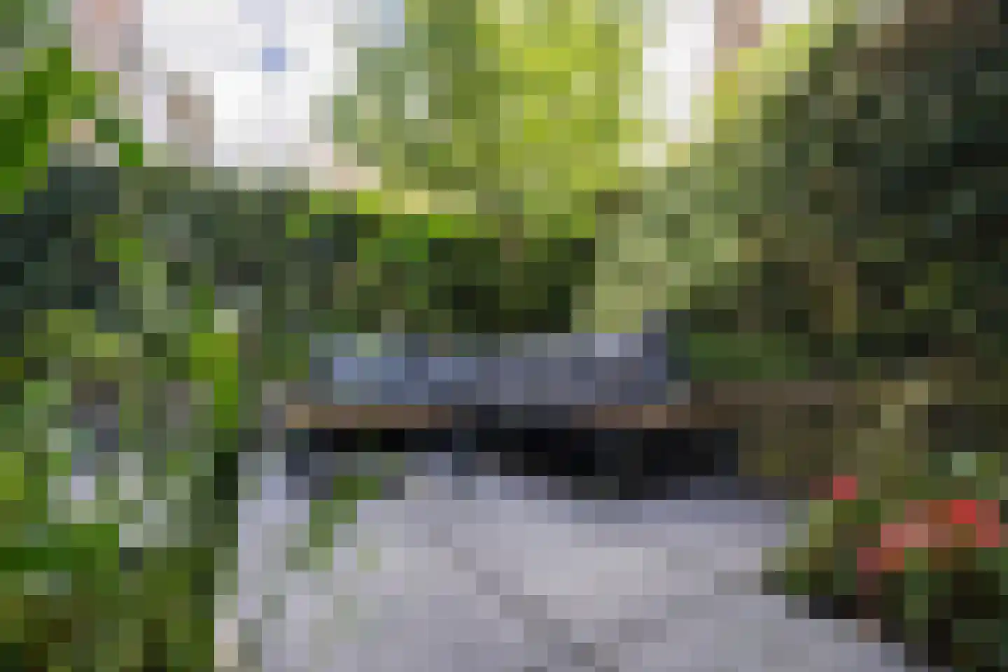2e Spijkerdwarsstraat 51 Arnhem thumbnail 7