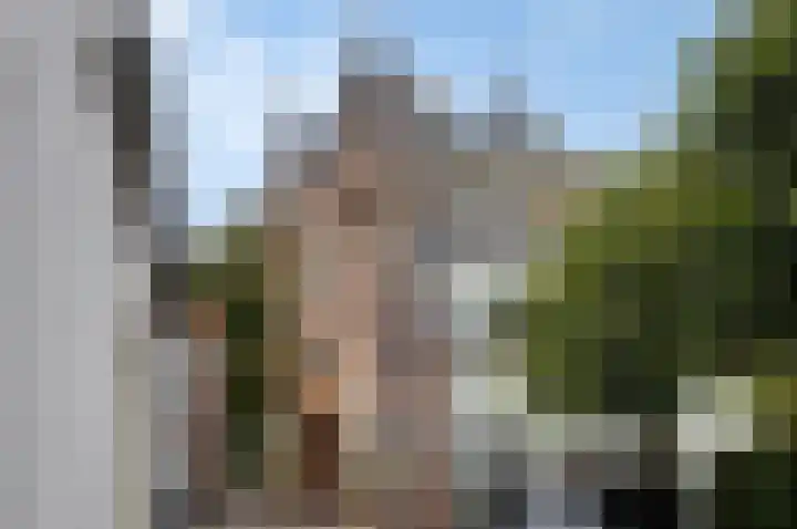 2e Steeg 1 3 Hattem thumbnail 17