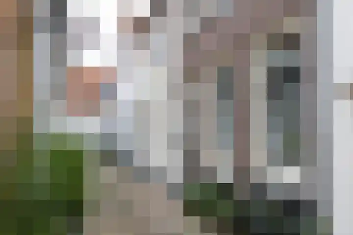 2e Steeg 1 3 Hattem thumbnail 5