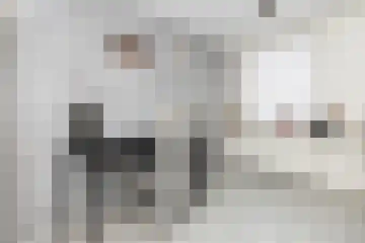 2e Steeg 1 4 Hattem thumbnail 10